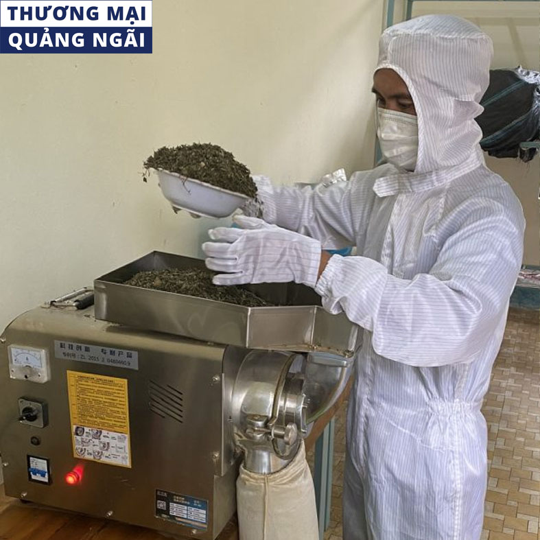Hợp Tác xã Trồng rừng hôm nay