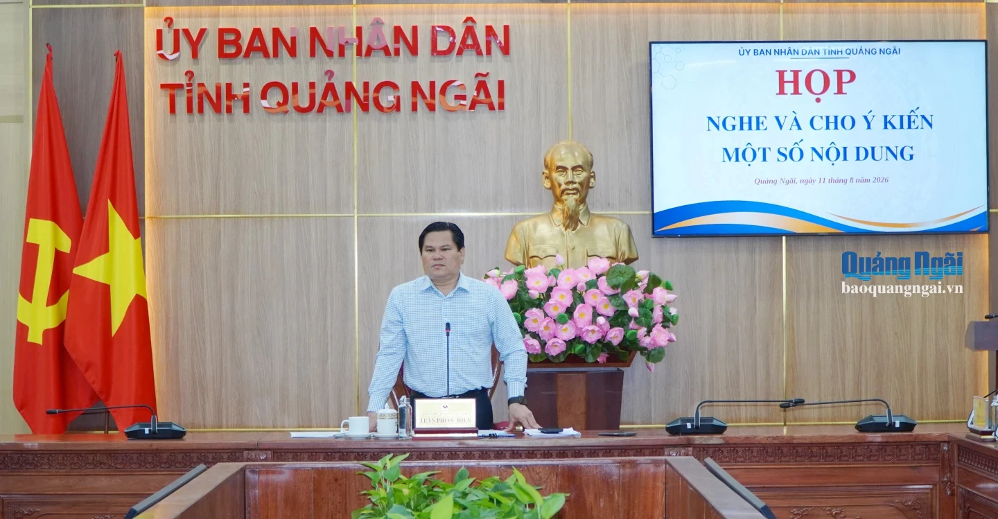 Phó Chủ tịch UBND tỉnh Trần Phước Hiền phát biểu chỉ đạo tại buổi làm việc.